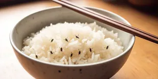 Trik Jitu Menghilangkan Kutu Beras dengan Bahan Dapur yang Mudah Didapat