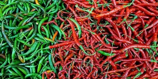 Trik Rahasia Menjaga Cabai Tetap Segar Lebih Lama