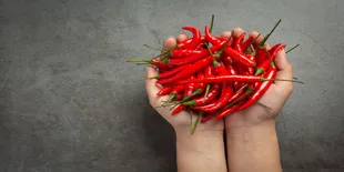 Trik Simpel agar Cabai Bisa Bertahan hingga 2 Minggu di Suhu Ruang