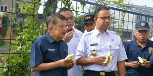 Tunjukkan Kali Item Sudah Nggak Bau, Anies Baswedan & Jusuf Kalla Makan Pisang