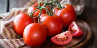 Tutorial Menyimpan Tomat Agar Awet dan Tetap Fresh