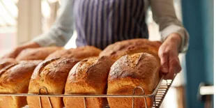 Uniknya Kisah Teras Biga, Berawal dari Misi Sosial Buat Para Nakes di Medan