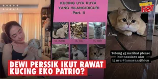 UPDATE Terbaru Kondisi Kucing Uya Kuya &#38; Eko Patrio Dari Sherina, Dewi Perssik Ikut Merawat?