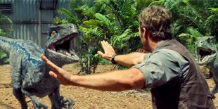 [VIDEO]Chris Pratt Selamatkan Pekerja dari Serangan Velociraptors