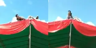 Viral! Tak Cuma Aksi di Panggung, Pedangdut Ini Nyanyi Sambil Panjat Tenda