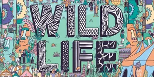 Wildlife Fest, Hanya Dengan 2Juta Bisa Nonton Konser di Inggris!
