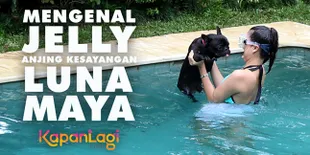Yuk Intip Serunya Luna Maya Saat Berenang & Mandikan Jelly!