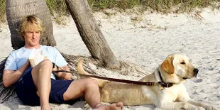 10 Kematian Tragis Hewan Dalam Film Ini Bikin Kamu Mewek