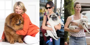 10 Potret Hewan Peliharaan Super Lucu Para Bintang