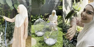 10 Potret Irish Bella Siram Kebun - Jemur Burung di Pagi Hari, Cantik Paripurna Meski Cuma Pakai Daster