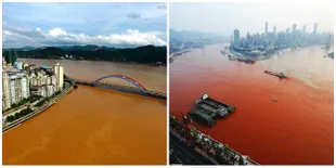 10 Sungai Pembawa Sampah Menuju Lautan, Ada Indonesia Juga!