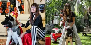8 Potret Kebersamaan Nia Ramadhani dan Maximus, Anjing yang Sudah Jadi Kesayangan