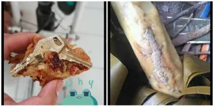 7 Foto Orang yang Dapat 'Bonus' Dalam Makanan yang Mereka Beli, Kalau Gampang Mual Mending Jangan Lihat!