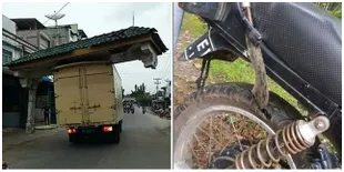 8 Benda 'Nyangkut' di Kendaraan Ini Bikin Geleng-Geleng Kepala