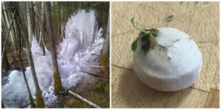 8 Foto Yang Buktikan Jika Nggak Ada Yang Tak Mungkin di Dunia Ini