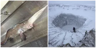 8 Hal Aneh & Menyeramkan Yang Ditemukan di Antartika, Apa Saja?