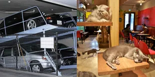 8 Hal Unik & Aneh Ini Cuma Ada di Jepang, Bikin Pengen Kesana
