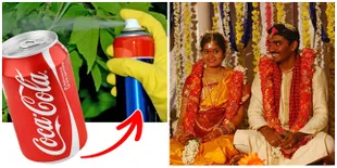 8 Hal Unik Yang Cuma Ada di India, Penduduknya Vegetarian!