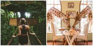 8 Hotel Unik Dari Seluruh Dunia Ini Bikin Kamu Pengen Traveling!