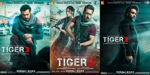 Dibintangi Salman Khan, 8 Potret dan Sinopsis 'TIGER 3' yang Merupakan Film Thriller Bollywood dengan Rating Tinggi