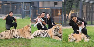 8 Potret Keluarga Denny Caknan Main Bareng Harimau, Dek Cunda & Bella Bonita Santai - Bapaknya Terlihat Tegang