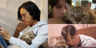 8 Potret Manis Dikta dan Jimbon, Kucingnya yang Gemes dan Jadi Kesayangan