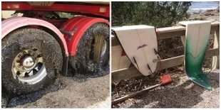 8 Potret Panas Ekstrem Dari Berbagai Negara, Sampai Meleleh Semua