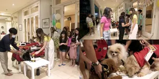 8 Potret Perayaan Ultah Maximus Anjing Nia Ramadhani, Kue Tart Curi Perhatian - Meriah Dihadiri Keluarga Bakrie