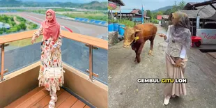 8 Potret Ria Ricis Berburu Sapi Kurban untuk Dihibahkan ke Sekolah Lamanya, Langsung Pergi ke Batam