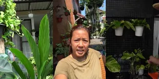8 Potret Rumah Soimah di Yogyakarta, Asri Banget - Banyak Koleksi Tanaman Bikin Sejuk