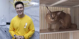 9 Penampakan Kamar Kucing Baim Wong Yang Luas, Tampak Nyaman dan Desain Interiornya Keren