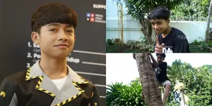 9 Potret Betrand Peto Petik Kelapa Untuk Thalia Putri Onsu, Rela Panjat Pohon Tinggi Banget