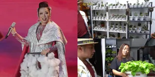 9 Potret Koleksi Tanaman Hias di Rumah Soimah, Punya Berbagai Jenis Mahal yang Lagi Hits - Ada Juga Hasil 'Colongan'