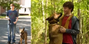 Anjing Pintar Dalam Film 'MAX' Ini Lucu Maksimal