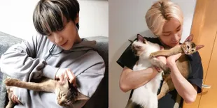 Bikin Iri Fans! 8 Foto Momen Menggemaskan Ten NCT Bersama Kucing Peliharaan, Beri Pelukan Sampai Ciuman Manja