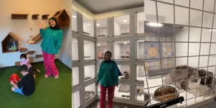 Bisnis Makin Berkembang, 7 Potret Hotel Kucing Milik Tya Ariestya - Suguhkan Fasilitas Lengkap Mulai Dari Playground Hingga Spa
