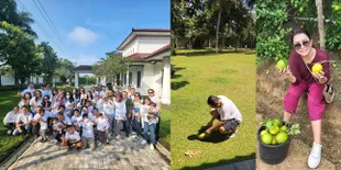 Crazy Rich, 11 Potret Mayangsari Santai Bawa Tas Branded ke Kebun - Bambang Tri Pecah Kelapa Sendiri