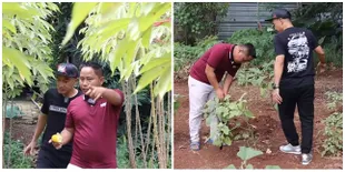 Dari Komedian Jadi Petani, Seperti Ini 15 Potret Kebun Sayur Narji yang Cukup Luas -  Senang Bisa Buka Lapangan Kerja