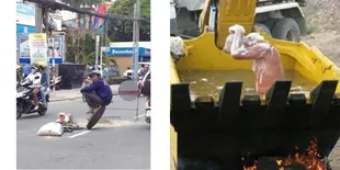Deretan Perilaku Santuy Orang-Orang Saat Kerja, Bikin Kamu Heran