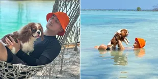 Ditinggal Ayu Ting Ting Lamaran, Boy William Pergi Healing ke Pulau Sendirian