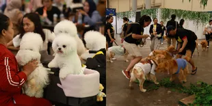 Dog Lovers Padati Festival Tahunan Penggemar Hewan, Bawa Berbagai Jenis Anjing Kesayangan