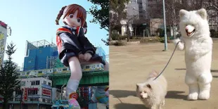 FOTO: 9 Hal Unik Bin Aneh Ini Cuma Bisa Kamu Temukan di Jepang
