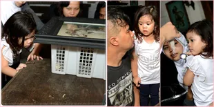 Foto Ahmad Dhani Tunjukkan Ular Peliharaan Pada Safeea