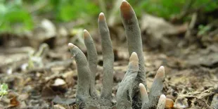 FOTO: Bukti Kengerian Alam Yang Bikin Bulu Kuduk Kita Berdiri