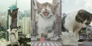 FOTO: Catzilla, Galeri Hasil Editan Kucing Yang Bikin 9GAG Gempar