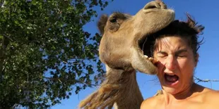 FOTO: Gara-Gara Selfie Dengan Hewan, 8 Cewek Ini Terima Akibatnya