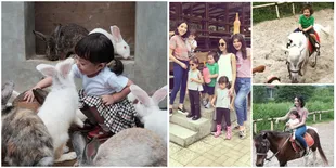 FOTO: Liburan, Baby Gempi & Quenzino Naik Kuda-Beri Makan Kelinci