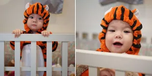 FOTO: Makin Gemes & Lucu! Baby Gempi Pakai Kostum Macan Kecil