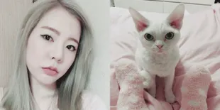 FOTO: So Cute! Ekspresi Lucu Sunny SNSD Bersama Kucing Peliharaan