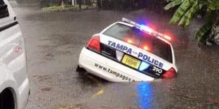 Galeri Foto Unik dan Aneh Ini Butuh Penjelasan Tambahan